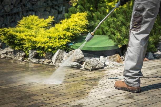 Boat and Dock Cleaning in Bonita, CA